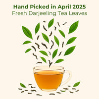 Yumavi First Flush Darjeeling Tea - 50+ Cups (100g) | No HARMFUL PET jars or Plastic | Loose Leaf Black Tea - Flowery, Aromatic & Delicious | Champagne Of Teas | Mellow & Fragrant | Direct From India
