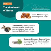 Himalaya Septilin Tablets - 60 Tablets & Himalaya Wellness Since 1930 Pure Herbs Triphala Bowel Wellness - 60 Tablets