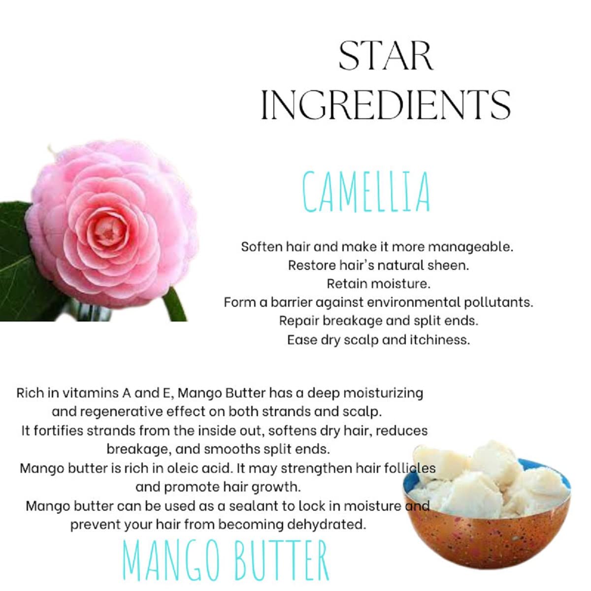 EcoBerry Camellia Mango Butter Leave In Conditioning Balm | Dry & Frizzy Hair, Organic, Silicone Free, Paraben Free, Chemical Free, Cruelty Free, Mineral Oil Free, Preservative Free, Veg