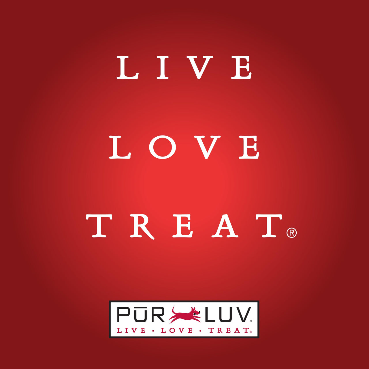 Dog Treats, K9 Kabobs for Dogs Made with Real Chicken, Duck, and Sweet Potato, 12 Ounces, Healthy, Easily Digestible, Long-Lasting, High Protein Dog Treat, Satisfies Dog's  Urge to Chew Chicken / Duck / Sweet Potato Kabob