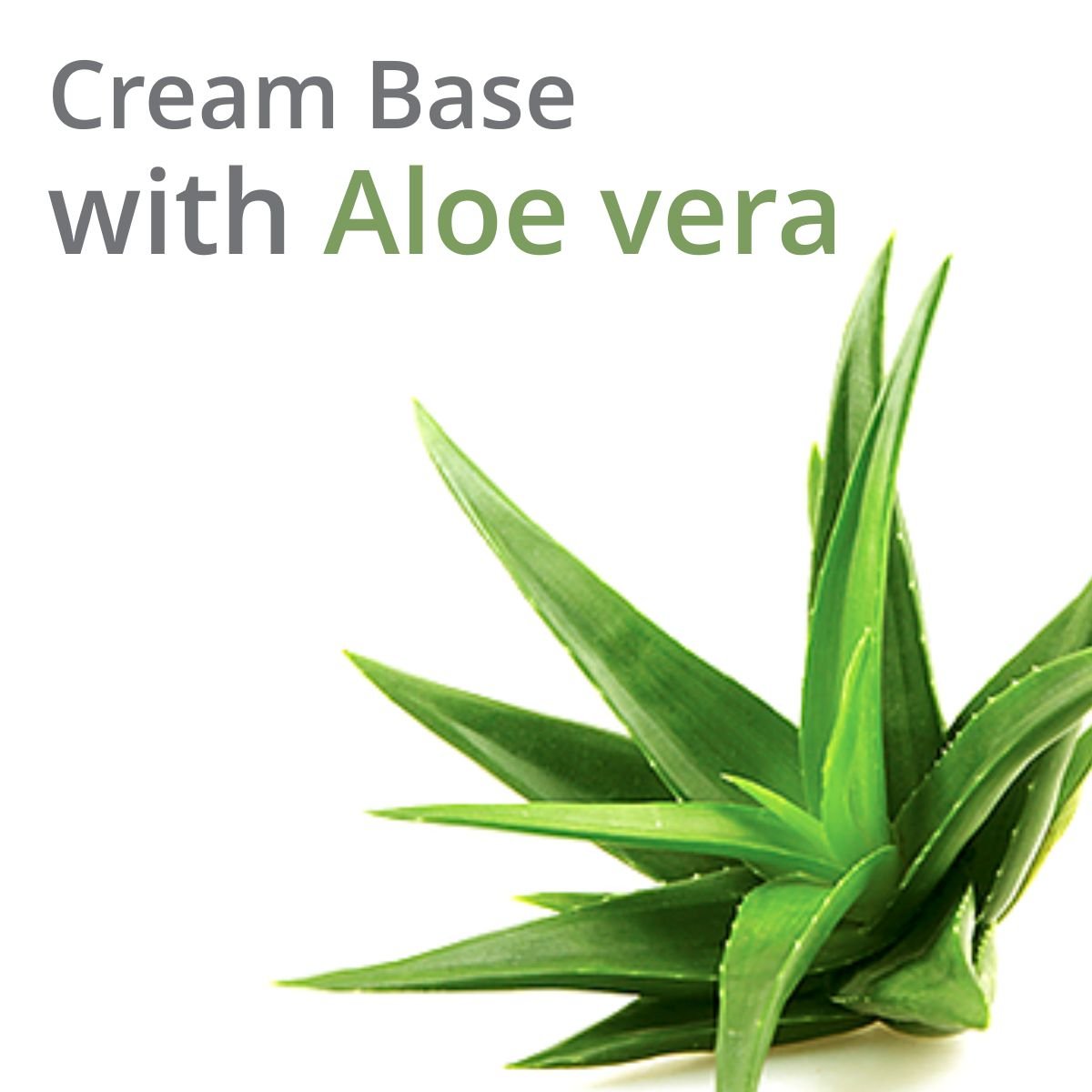 SALVE Parasoft Cream For Dry & Dehydrated Skin - Intense Moisturizer Nourishing Cold Cream & Winter Cream With Goodness Of Aloe Vera For Men & Women - 200 Gm