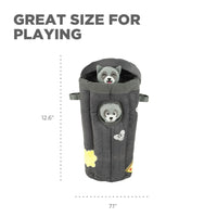 Outward Hound Hide A Raccoon Plush Dog Toy Puzzle