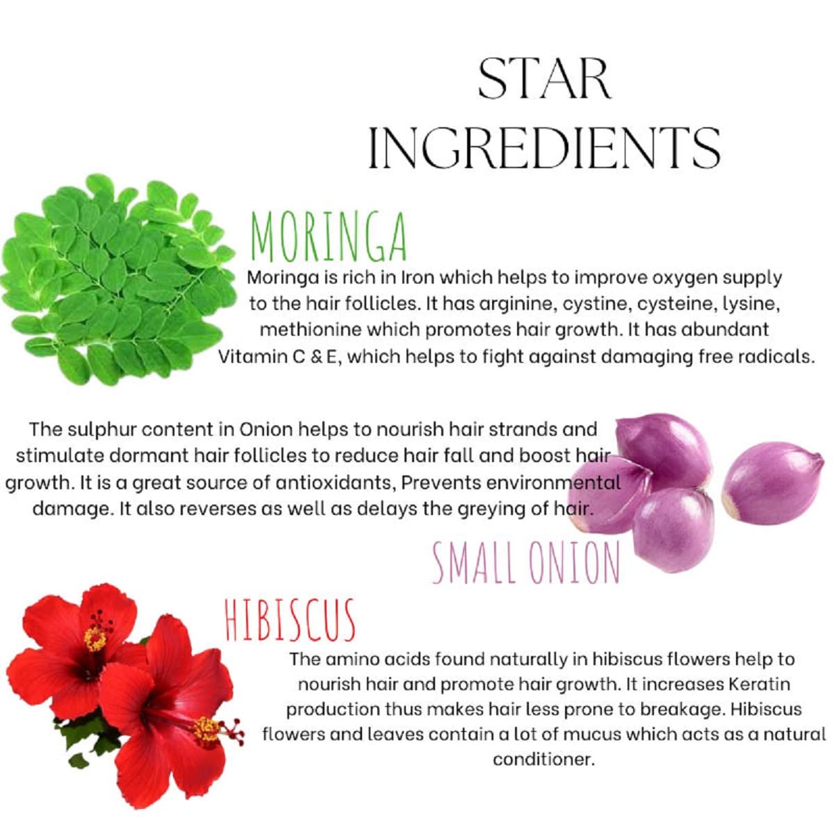 EcoBerry Moringa Small Onion Herbal Hair Growth Oil For Hair Growth, Strengthens Hair Follicles, Reduces Hair Breakage & Dandruff & Dry Scalp