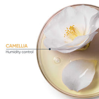 Biolage Professional Smoothproof Anti-Frizz Shampoo for Women and Men, Up to 72HR Frizz Control, Biolage Shampoo With Camellia Flowers, Shampoo for Dry and Frizzy Hair, Vegan & Cruelty-Free, 200ml