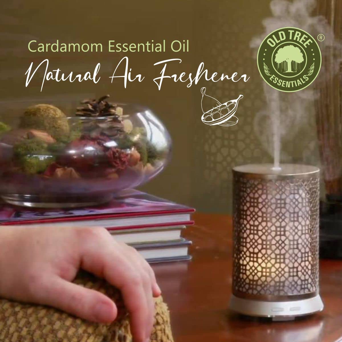 Old Tree Cardamom (Elaichi) Essential Oil (15ml) - For Skin, Hair Care, Fragrance, Soap Making, and Aromatherapy - Pure, Natural and Undiluted Perfume Oil with Glass Dropper