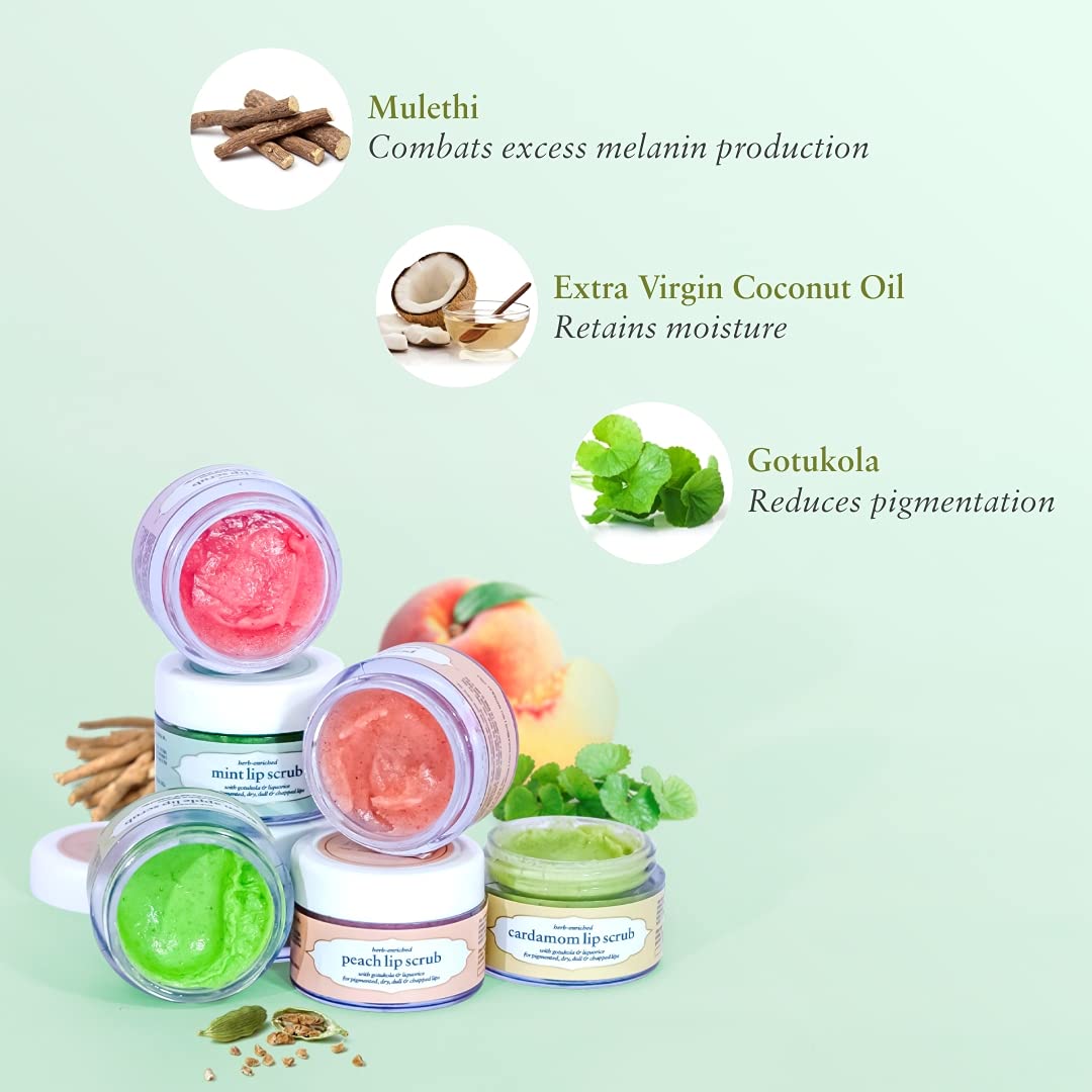 Just Herbs Ayurvedic Mint Lip Scrub For Dry,Chapped & Smoker Lips - SLS & Paraben Free 15gm