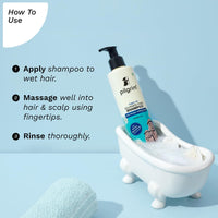 Pilgrim Mild Sulphate Free Shampoo (Argan Oil) For Dry Frizzy Hair, Men and Women, No Sulphate No Paraben, Korean Beauty Secrets (Shampoo), 200ml