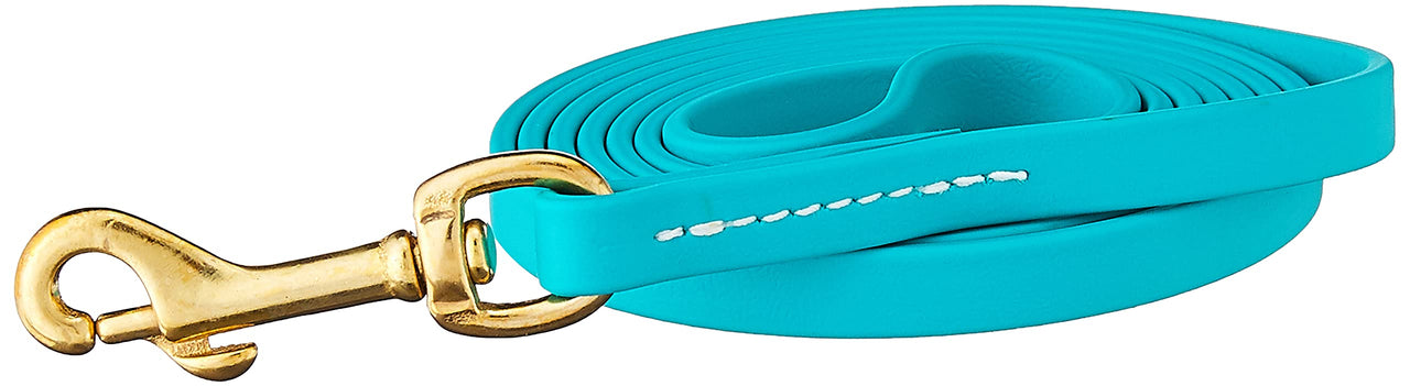 J&J Dog Supplies Biothane Dog Leash, 1/2" Wide by 6' Long, Teal