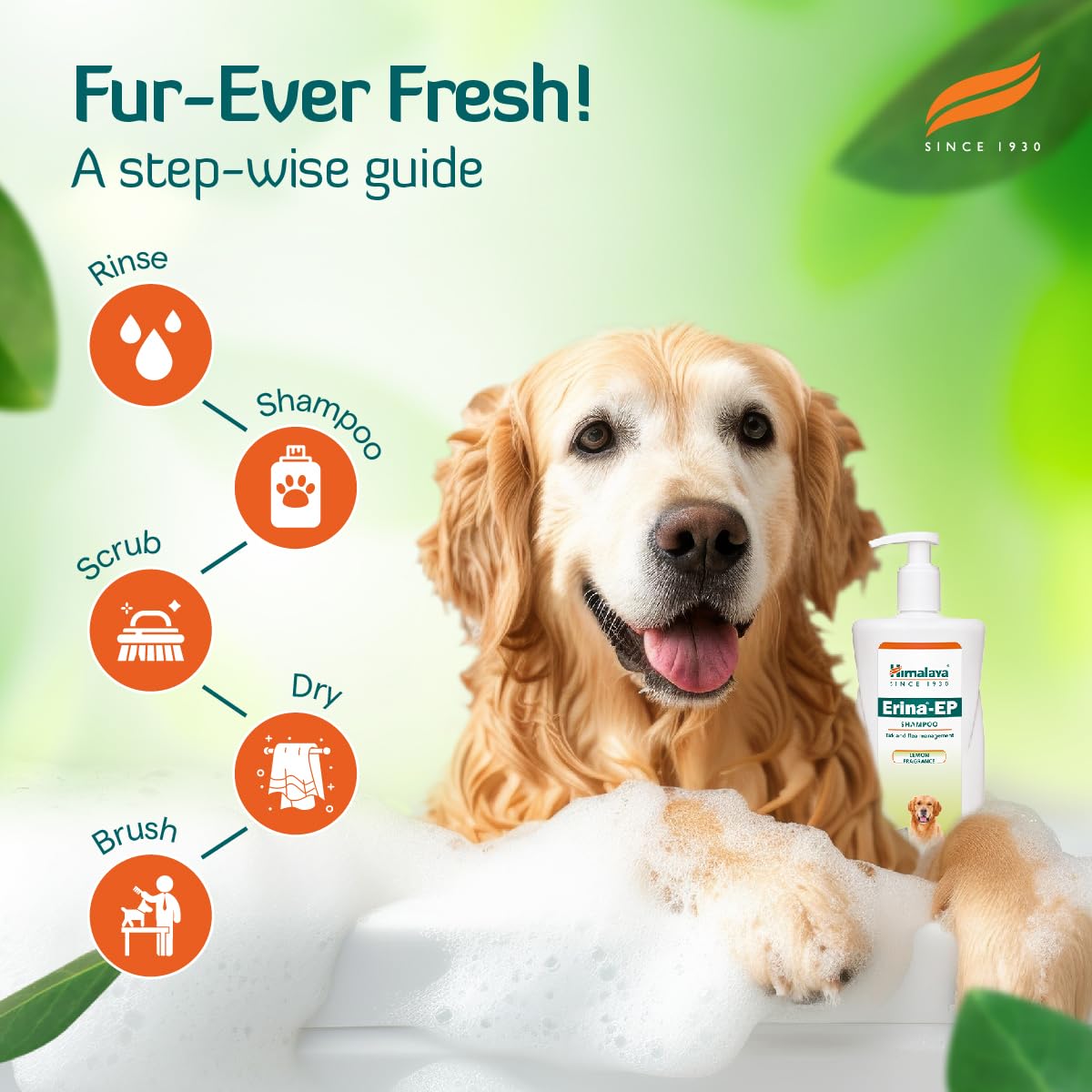 Himalaya Erina EP Shampoo for Dogs and Cats| Anti-Tick and Flea Formula with Natural Ingredients for Healthy Skin and Coat | 450 ml