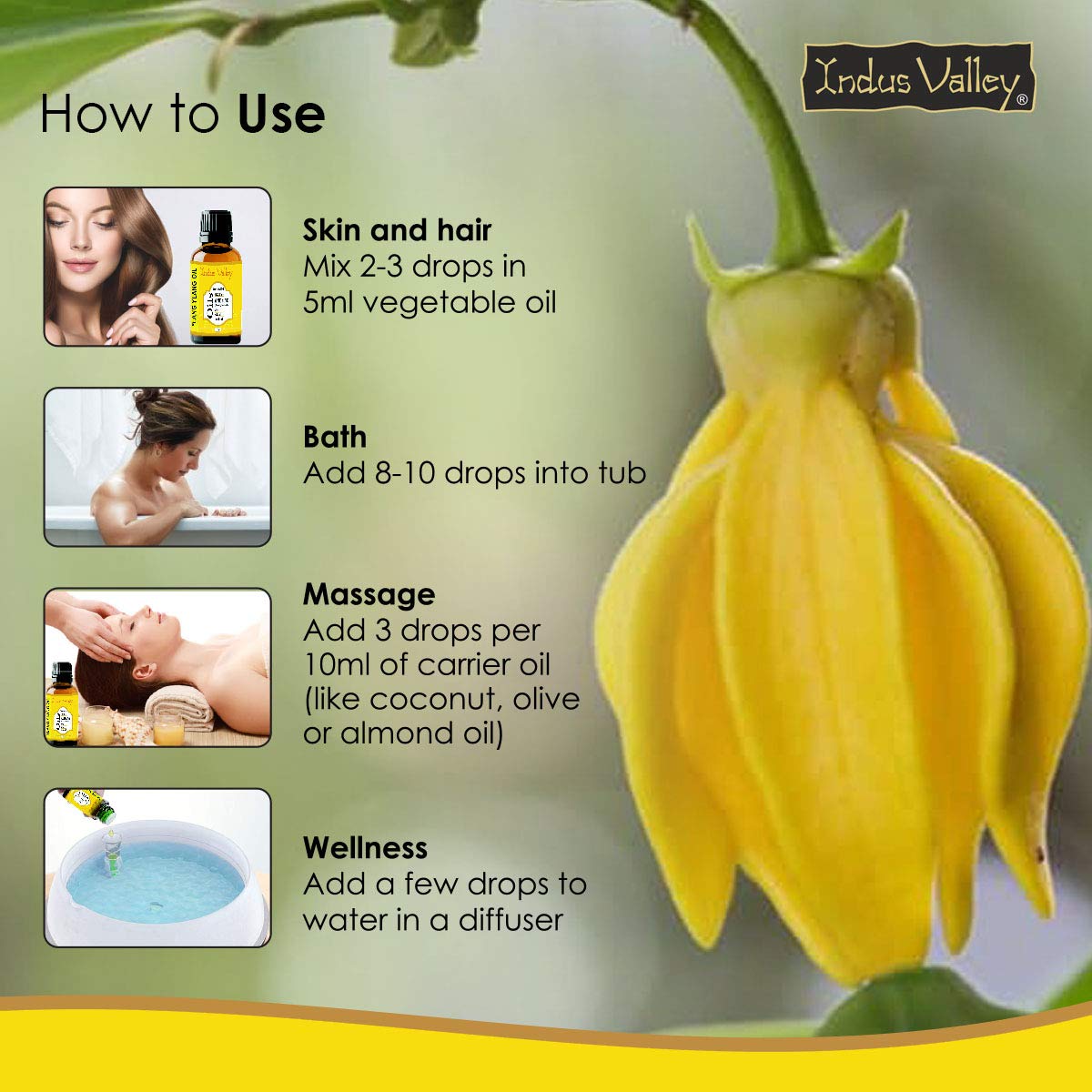 Indus Valley 100% Pure Natural & Organic, Undiluted ylang ylang Essential Oil with Glass Dropper for Skin, Hair Care -15ml