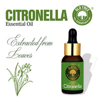 Old Tree Citronella Essential Oil (15ml) - for Skin, Hair Care and Aromatherapy - Pure, Natural and Undiluted Perfume Oil with Glass Dropper for Home Fragrance and Candle Making