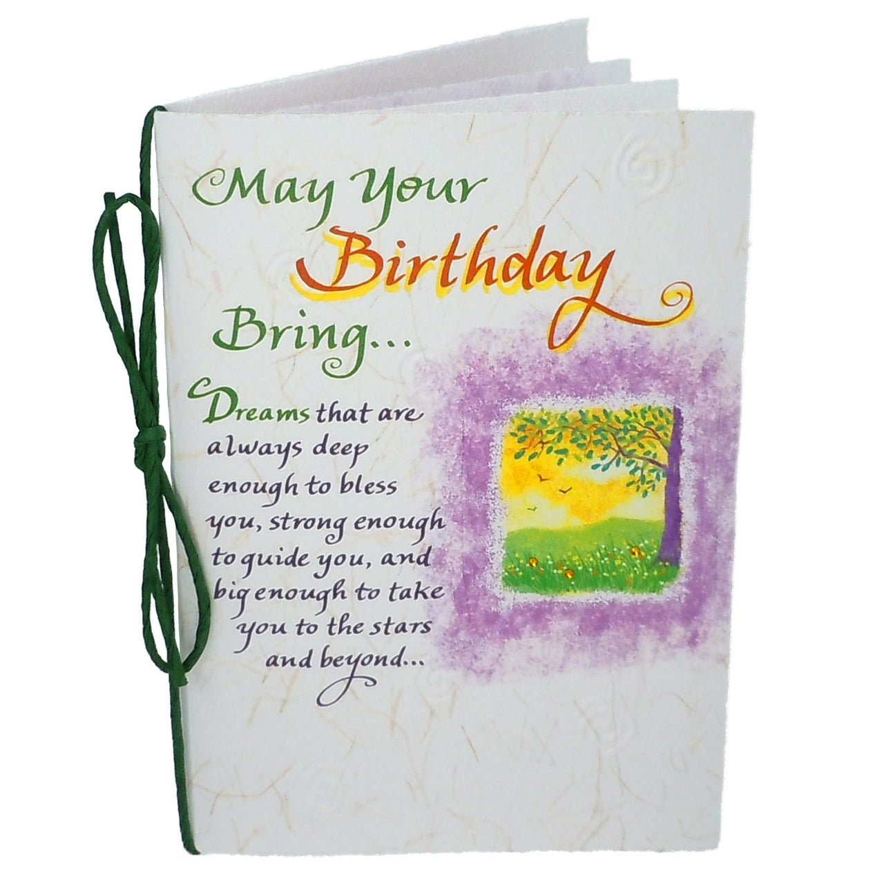 Blue Mountain Arts Birthday Card—Birthday Wishes for a Friend, Family Member, or Someone Special in Your Life (May Your Birthday Bring…) green yellow purple