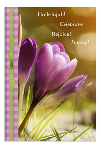 DaySpring - Easter Blessings - 8 Design Assortment with Scripture - 24 Easter Boxed Cards and Envelopes (U1617)