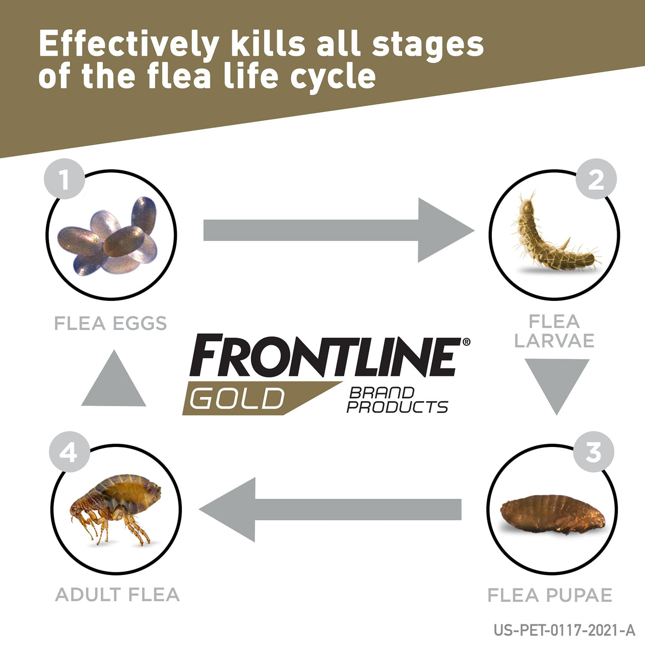 Frontline Gold Flea & Tick Treatment for Large Dogs Up to 45 to 88 lbs., Pack of 6 6 Count