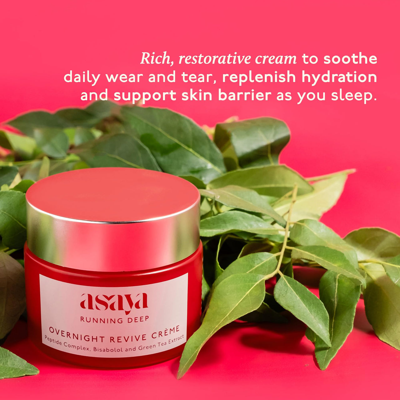 Asaya Night Peptide Moisturizer | Korean Night Cream with Collagen-Boosting Peptides & Bisabolol | Hydrating & Brightening | Firms Skin & Repairs Barrier | Anti-Aging Night Repair Cream | Green Tea Extract for Purified Glow | Lightweight & Non-Greasy | Fo