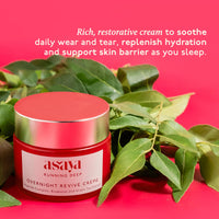 Asaya Night Peptide Moisturizer | Korean Night Cream with Collagen-Boosting Peptides & Bisabolol | Hydrating & Brightening | Firms Skin & Repairs Barrier | Anti-Aging Night Repair Cream | Green Tea Extract for Purified Glow | Lightweight & Non-Greasy | Fo