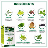INDUS VALLEY Bio Organic Herbal Henna Powder Rich Colour and Lustrous Shine with Hair Dye Brush (100g) - Green