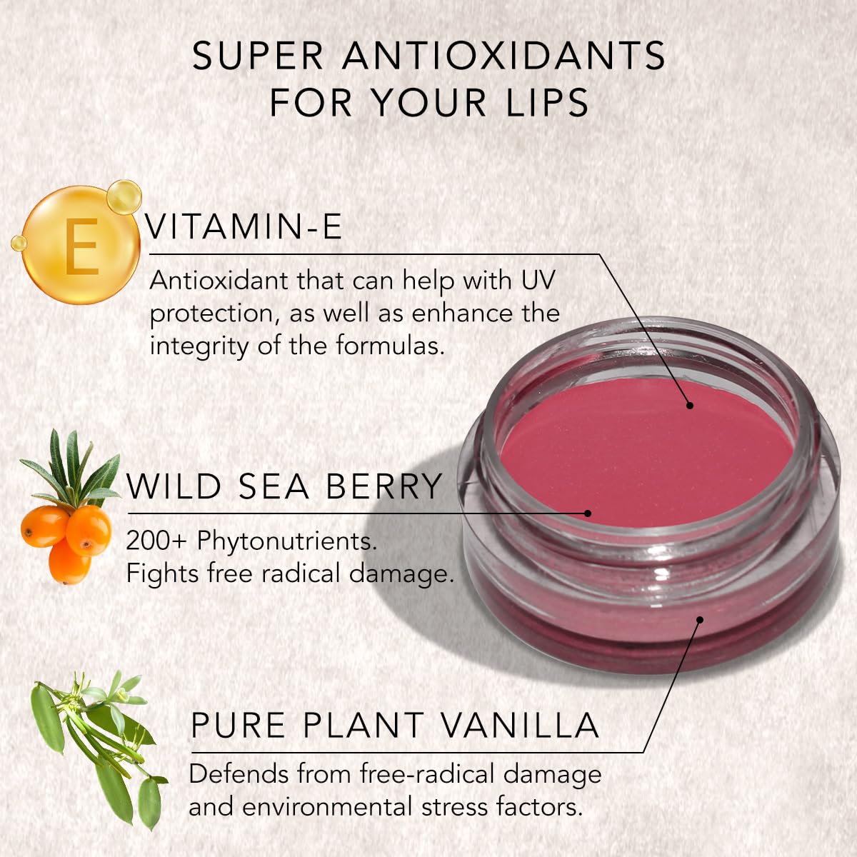DAUGHTER EARTH Vegan Lip and Cheek Tint Combo | Matte Natural Blush for Women | Lip Tint with Vitamin E | Nourishing Cheek Tint | Pack of 2 | 4.5 gm Each (Original Pink & Desert Nude)
