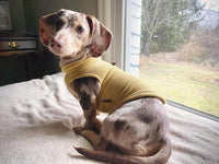 Gooby Fleece Vest Dog Sweater - Honey Mustard, Large - Warm Pullover Fleece Dog Jacket with O-Ring Leash - Winter Small Dog Sweater Coat - Cold Weather Dog Clothes for Small Dogs Boy or Girl