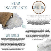 EcoBerry Rice Coconut Milk Face Wash Powder | Talc Free, Hypoallergenic, Sensitive Skin 100% Pure, Organic | Natural | Alcohol Free | Preservative Free | Chemical Free | Vegan, 30g