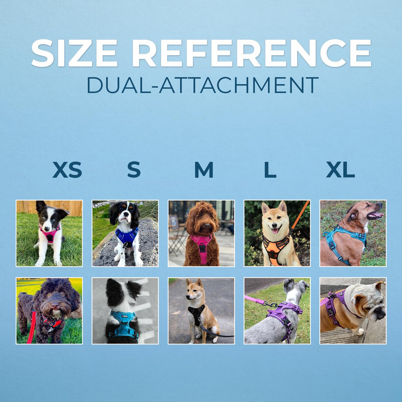 Dog Harness Dual Leash Attachment No-Pull Control Adjustable Soft but Strong Pet Harness for Medium and Large Dogs with 3M Reflective Technology - Fuchsia, M (Chest: 20 - 25") M (Chest: 20 - 25") Fuchsia (Nylon)