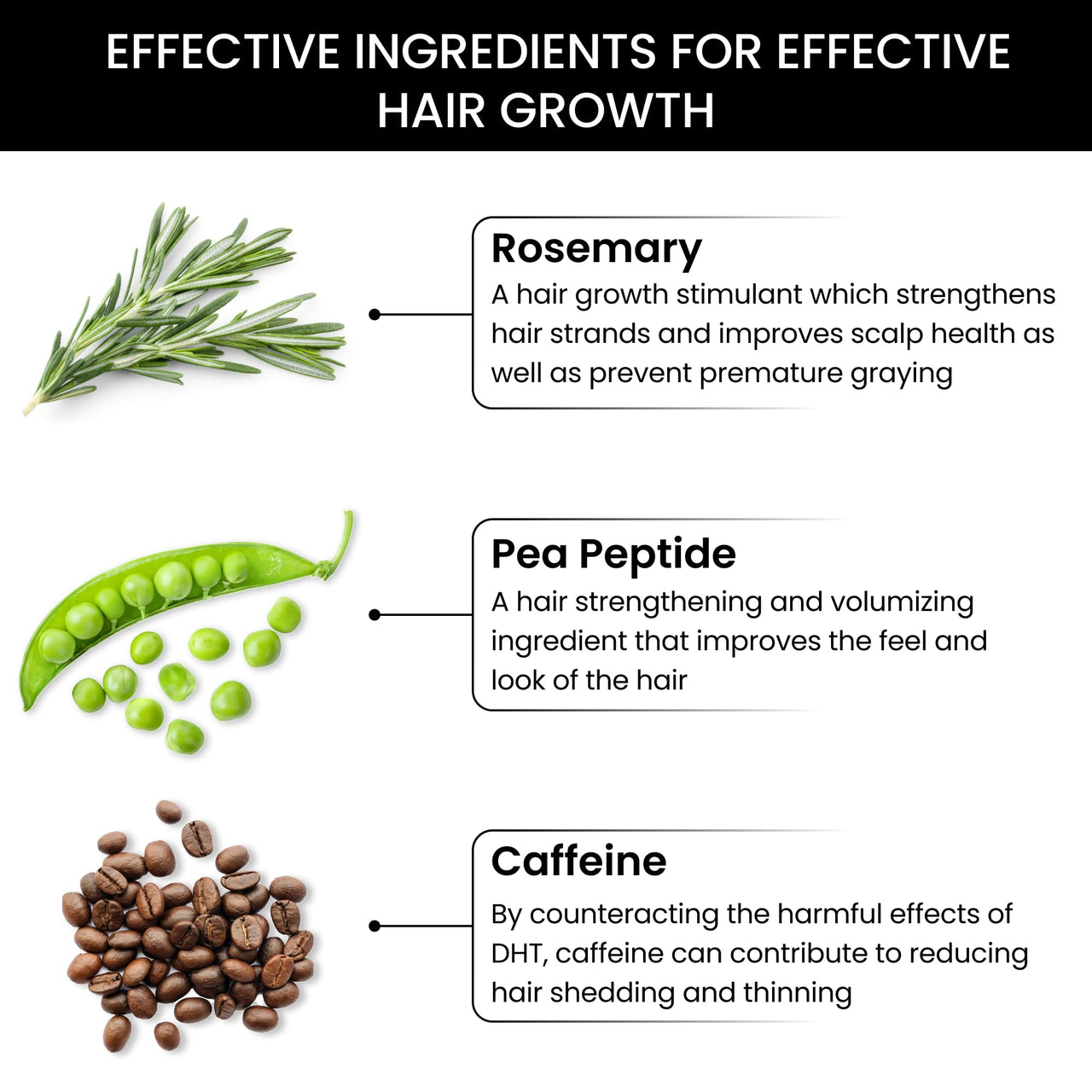 ThriveCo Rosemary Hair Conditioner For Voluminous Hair | Densifying & Stimulating Hair Growth | Promotes Hair Strength | With Pea Peptide & Caffeine | Paraben & Sulfate Free | For Men & Women | 250ml