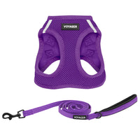 Voyager Step-in Air All Weather Mesh Harness and Reflective Dog 5 ft Leash Combo with Neoprene Handle, for Small, Medium and Large Breed Puppies by Best Pet Supplies - Set (Purple), XL