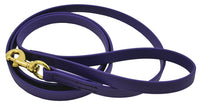 J&J Dog Supplies Biothane Dog Leash, 3/4