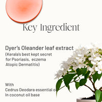 VEDICDERM Oleander's Psoriasis & Eczema Oil 200ml | Natural, Steroid-Free Formula | Soothes Itching, Redness & Flaking Skin | Deep Hydration & Skin Barrier Repair | Suitable For Everyday Use