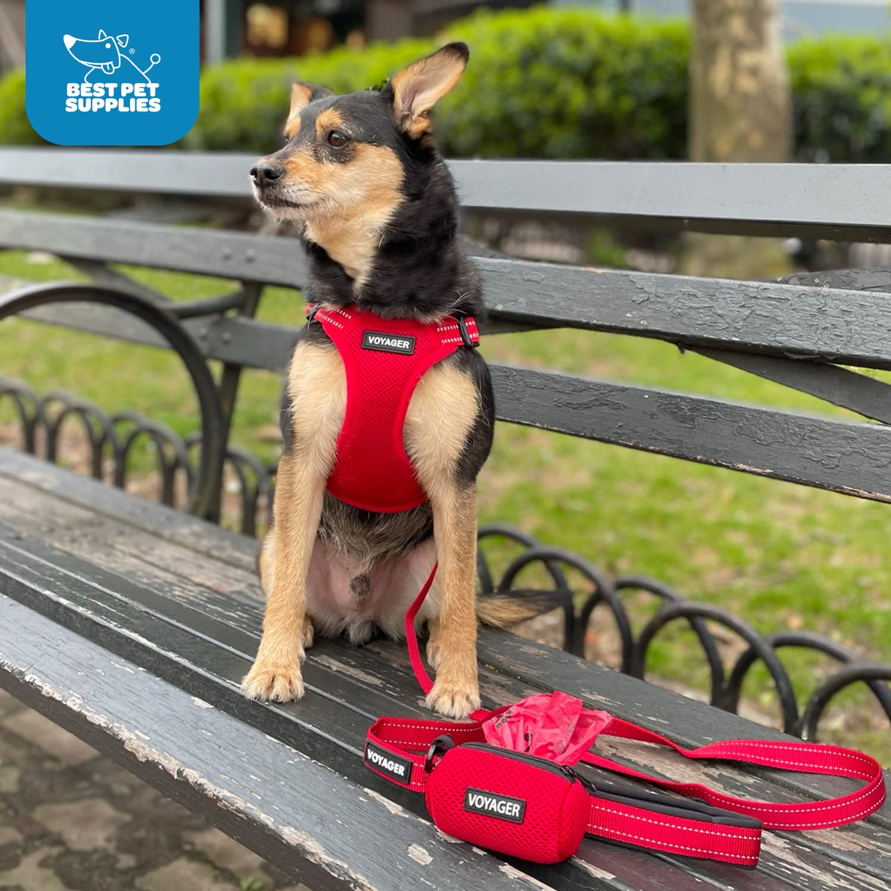 Best Pet Supplies Voyager Adjustable Dog Harness Leash Set with Reflective Stripes for Walking Heavy-Duty Full Body No Pull Vest with Leash D-Ring, Breathable All-Weather - Army/Black Trim, M