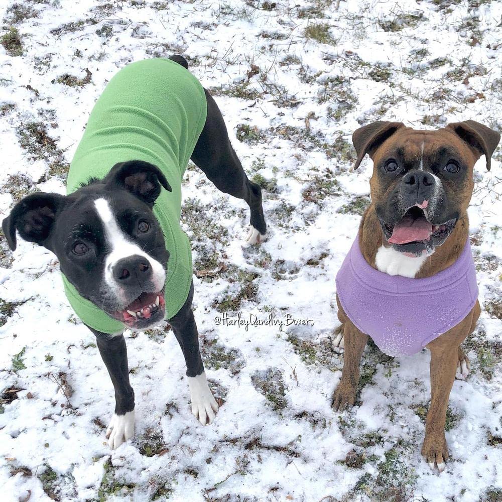 Gooby Stretch Fleece Vest Dog Sweater - Grass Green, 4X-Large - Warm Pullover Fleece Dog Jacket - Winter Dog Clothes for Small Dogs Boy - Dog Sweaters for Small Dogs to Dog Sweaters for Large Dogs 4X-Large Length (22.5")