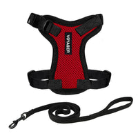 Voyager Step-in Lock Cat Harness w Reflective Cat Leash Combo Set with Neoprene Handle 5ft - Supports Small, Medium and Large Breed Cats by Best Pet Supplies - Red/Black Trim, XXS Harness Leash Set (Red/Black Trim) XXS (Chest: 11.5 - 14