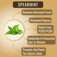 The Tea Heaven | Tea Gift - PCOS/PCOD Relief Herbal Tea-25 Tea Bags- Helps Acne, Unwanted Facial Hair Growth, Hair Loss