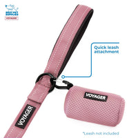 Best Pet Supplies 2-Pack Dog Poop Bag Holder Leash Attachment, Color, Reusable Mesh Dispenser Pouch for Travel, Walking, Park, and Outdoor Use, Soft and Durable with Clip-On - Mesh Pink 01 Mesh Dispensers (Pink) 0.5 Count (Pack of 2)