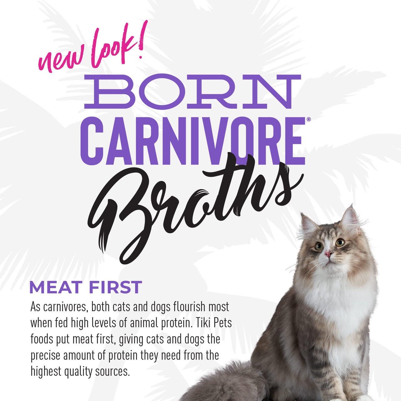 Tiki Cat Born Carnivore Broths, Duck & Chicken Recipe, Hydration and Flavor Supplement Cat Food Topper, 1.3 oz. Pouch (Pack of 12)