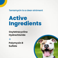 Terramycin Antibiotic Ointment for Eye Infection Treatment in Dogs, Cats, Cattle, Horses, and Sheep, 0.125oz Tube Modern