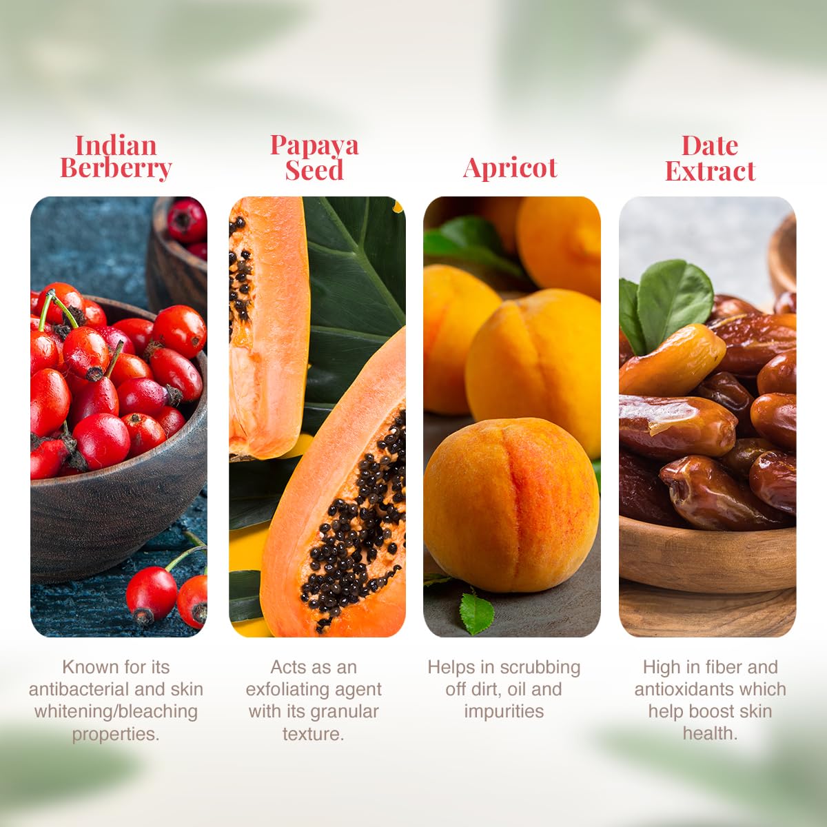 VLCC Indian Berberry Face Scrub - 80g | Gentle Scrub | Helps remove Dead Skin Cells | Clears Skin and Helps remove Blackheads | Rich in Antioxidants | Helps improve Skin Texture.