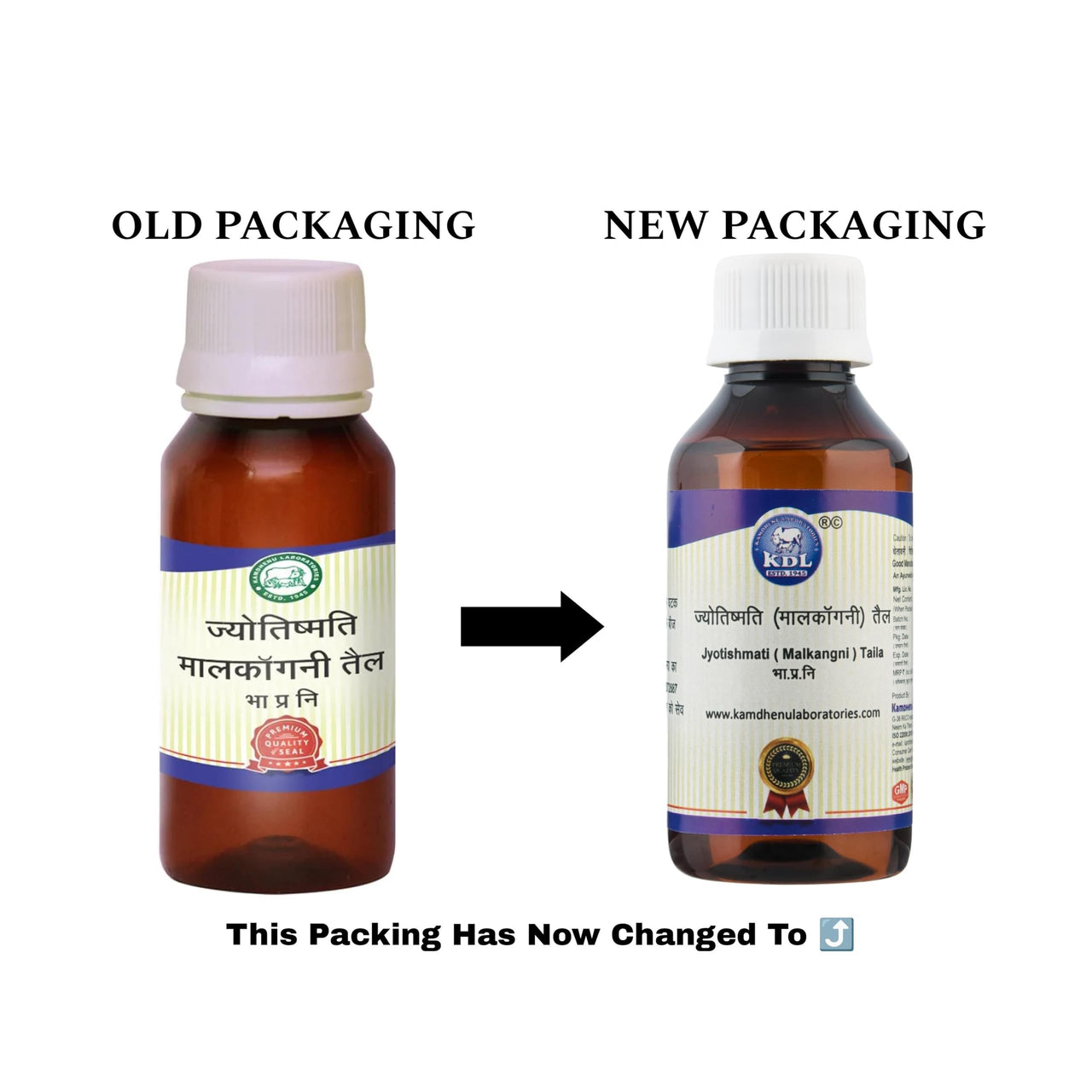 Kamdhenu Laboratories Jyotishmati Malkangani Taila - 30 ml | For Men and Women | Jyotishmati Oil for Skin | Celastrus Paniculatus Cold Pressed Oil