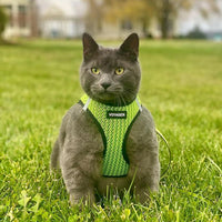 Voyager Step-in Air Dog Harness - All Weather Mesh Step in Vest Harness for Small and Medium Dogs by Best Pet Supplies - Lime Green (2-Tone), S Harness (Lime Green 2-Tone) S (Chest: 14.5 - 16