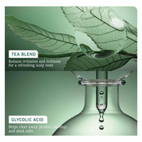 Biolage Scalp Sync Clarifying Shampoo, Soothes and Hydrates Scalp for up to 72 hours*, Enriched with Fermented Tea and Glycolic Acid IFor Women & Men I Vegan & Cruelty-Free
