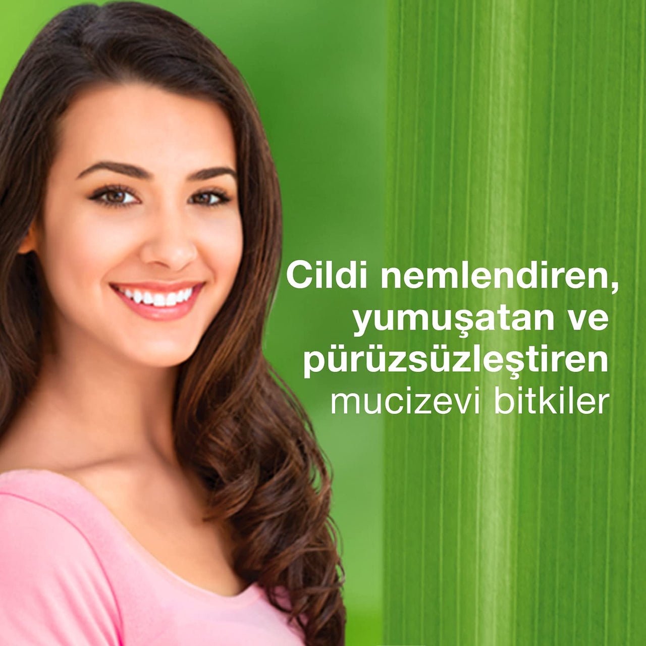 Himalaya Wellness Foot Care Cream | Moisturizes and Soothes Feet |, 50gm and Himalaya Herbals Revitalizing Night Cream, 50g