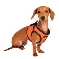 Puppia Soft Vest Harness B II - Orange - XXL XX-Large