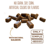 Cloud Star Dynamo Dog Skin & Coat Treats – Chewy Treat with Fish Oil for Shiny Coat (14 oz. Salmon) 14 Ounce (Pack of 1)