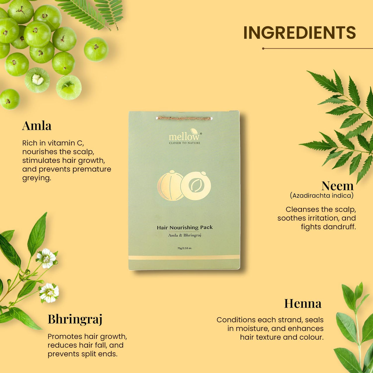 Mellow Herbals Ayurvedic Hair Nourishing Pack (75 GM) for deep Nourishment of Hair | Helps in Preventing Hair Fall and promote Shiny & Healthy Hair | Chemical, Paraben and Sulphate Free