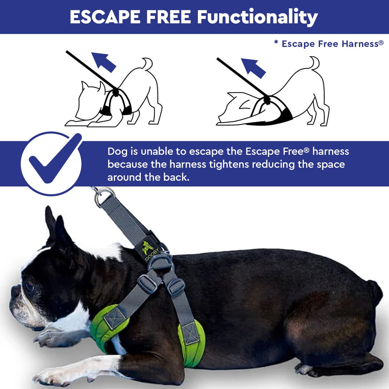 Gooby Escape Free Memory Foam Harness - Green, Large - No Pull Step-in Small Dog Harness with Four Point Adjustment - Perfect on The Go Dog Harness for Medium Dogs No Pull and Small Dogs Large Chest (16.5~24.25")