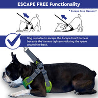 Gooby Escape Free Memory Foam Harness - Green, Large - No Pull Step-in Small Dog Harness with Four Point Adjustment - Perfect on The Go Dog Harness for Medium Dogs No Pull and Small Dogs Large Chest (16.5~24.25