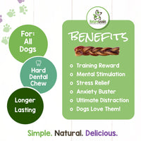Nature Gnaws Braided Bully Sticks for Dogs - Premium Natural Beef Dental Bones - Long Lasting Dog Chew Treats for Aggressive Chewers - Rawhide Free 10 Count (Pack of 1)