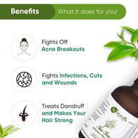 Naturalis Tea Tree Essential Oil - Tea Tree Oil for Hair, Face, Acne, Pimples and Scar - Pure and No Dilution Tea Tree Hair Oil - No Solvents - Ideal for Aromatherapy - 120ml