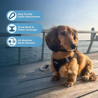 Voyager Step-in Air Dog Harness - All Weather Mesh Step in Vest Harness for Small and Medium Dogs and Cats by Best Pet Supplies - Harness (Black), S (Chest: 14.5-16