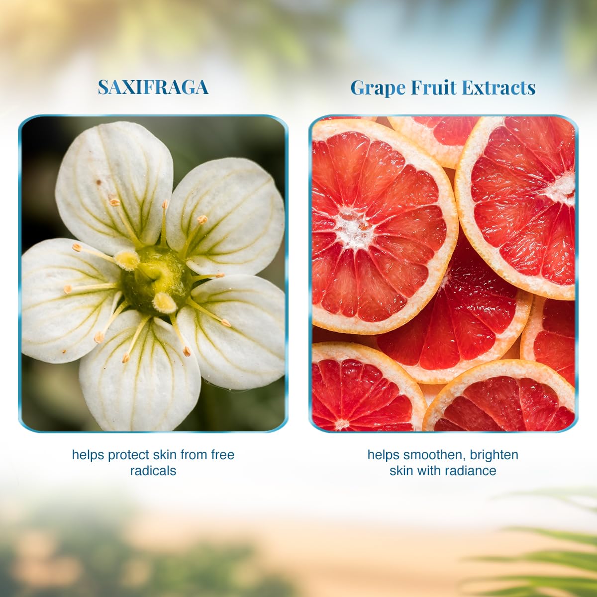 VLCC Radiance Pro SPF 30 PA+++ Sunscreen Gel - 100g + 25g | UVA and UVB Rays | Extra- Sun Protection, Boosts Radiance, Reduces Pigmentation | With Niacinamide, Mulberry, Saxifraga, Grapefruit.